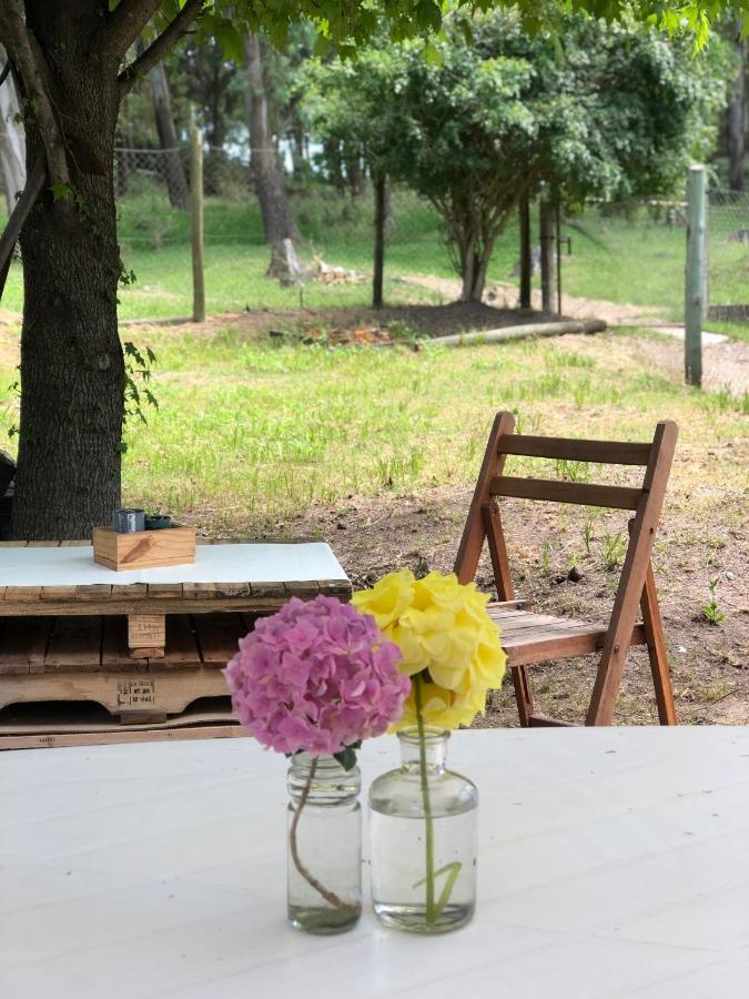 فندق Casita Del Parque سالتو المظهر الخارجي الصورة